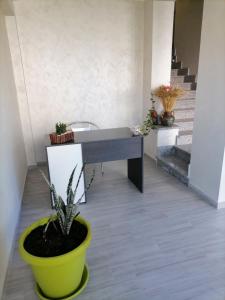 Gallery image of B&B Casa Dany in Ricadi