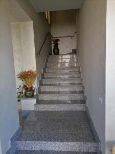 Gallery image of B&B Casa Dany in Ricadi