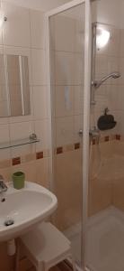 a bathroom with a shower and a sink and a tub at ÉKKŐ APARTMAN in Hegykő +12 photos