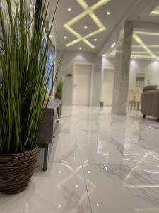 a potted plant sitting on the floor of a lobby at Royal AlUla Villa in Al-ʿUla