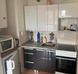 Kuchyň nebo kuchyňský kout v ubytování Apartmán ve Velkých Losinách + 15 fotografií