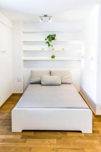 1 cama en una habitación con una planta en la pared en Studio Centrum, en Varsovia