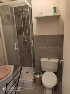 een badkamer met een douche, een toilet en een wastafel bij Studio au calme in Péronnas