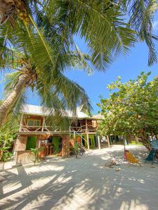 a house on the beach with a palm tree at Bella's Backpackers Hostel in Caye Caulker