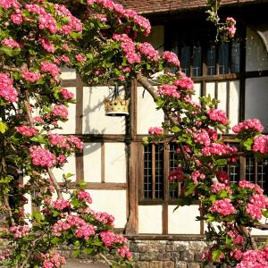 an open door with pink flowers and a window at The Crown Inn in Chiddingfold