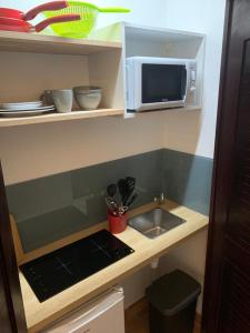 eine kleine Küche mit einer Spüle und einer Mikrowelle in der Unterkunft RÉSIDENCE DE LA BAIE Sunshine TARTANE in La Trinité