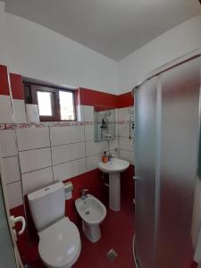 a bathroom with a toilet and a sink at B&BSheshalliu in Berat