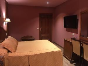TV a/nebo společenská místnost v ubytování Hotel Torres I