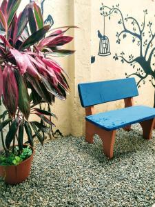 Pousada Serra Negra في بيزيروس: جلسة على كرسي ازرق بجانب زرع الفخار