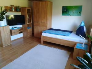 a living room with a bed and a tv at Ferienwohnung Helmberger in Burgkirchen in Burgkirchen an der Alz