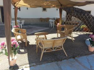 Patio nebo venkovní prostory v ubytování B&B Villa Pia