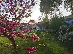 Zahrada ubytování Casona Del Duende