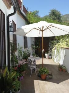 Zahrada ubytování Casona Del Duende