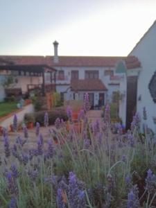 Zahrada ubytování Casona Del Duende