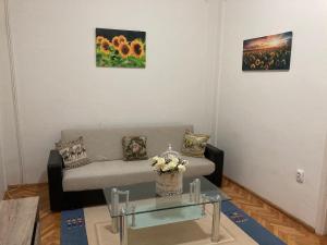 O zonă de relaxare la Irina Apartments