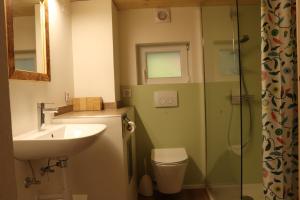 Vannituba majutusasutuses Ferienwohnung Unterdorf +21 fotot