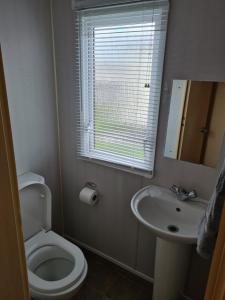 a bathroom with a toilet and a sink and a window at Palm grove in Chapel Saint Leonards