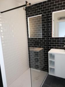a bathroom with a shower with a sink and a mirror at IDEAL TOWER DUIN EN ZEE in Blankenberge +12 photos