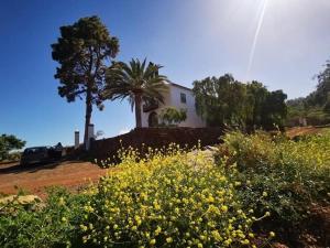 Imagen de la galería de Apartamento El Almendro, en Puntagorda