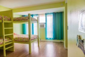 ヒロにあるThe Big Island Hostelの二段ベッド2組が備わる客室です。