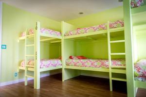 two bunk beds in a room with green walls at The Big Island Hostel in Hilo
