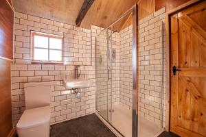 ein Bad mit einer Dusche, einem WC und einem Waschbecken in der Unterkunft Oakside Tree Tops in Canterbury
