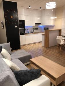salon z kanapą i kuchnią w obiekcie Gdansk Apartament Harmonia Oliwska w Gdańsku