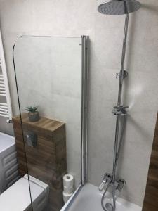 Łazienka w obiekcie Gdansk Apartament Harmonia Oliwska