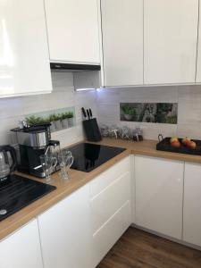 Kuchnia lub aneks kuchenny w obiekcie Gdansk Apartament Harmonia Oliwska