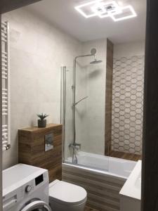 łazienka z prysznicem, toaletą i umywalką w obiekcie Gdansk Apartament Harmonia Oliwska w Gdańsku