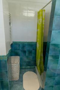 a blue tiled bathroom with a shower and a toilet at QUINTA DOS MONTEIROS - 3 Quartos com Piscina in Resende