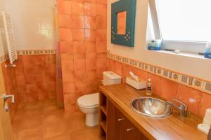 ein Bad mit einem Waschbecken und einem WC in der Unterkunft QUINTA DOS MONTEIROS - 3 Quartos com Piscina in Resende