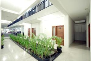 un pasillo con una fila de plantas en un edificio en DPARAGON UPN, en Yogyakarta