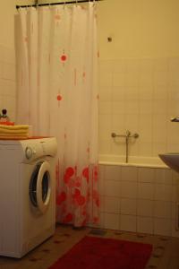 a bathroom with a shower curtain and a washing machine at Apartment Nikola in Dubrovnik +21 photos
