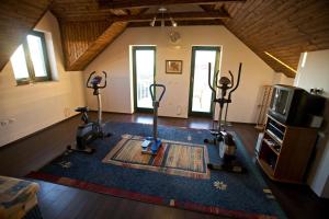 The fitness centre and/or fitness facilities at Villa Monica