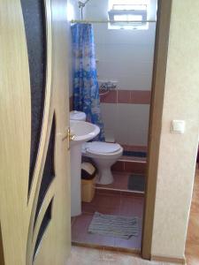 a bathroom with a toilet and a sink at Роза in Lazarevskoye