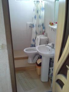 a bathroom with a toilet and a sink at Роза in Lazarevskoye