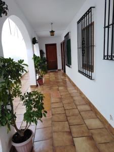 Ảnh trong thư viện ảnh của El Carmen ở Cazalla de la Sierra +5 ảnh