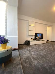 a living room with a tv and a couch at Apartament Ultracentral David in Pucioasa