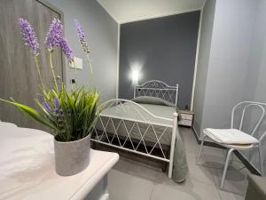 Foto dalla galleria di Bed&Breakfast La Primavera ad Acerra