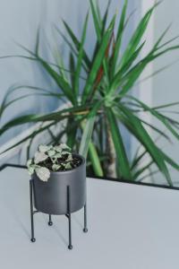 Zdjęcie z galerii obiektu Atelier Boutique Hotel w Szkodrze