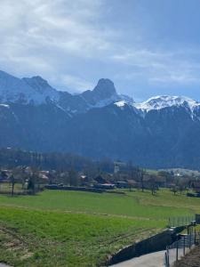 a mountain range with a green field and snow covered mountains at FeWo-Studio Linde in Amsoldingen