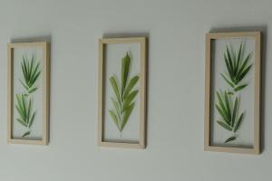 Zdjęcie z galerii obiektu Atelier Boutique Hotel w Szkodrze
