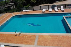 a swimming pool with a dolphin stencil on it at Hotel Galaico in Sanxenxo