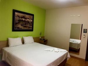 een groene kamer met 2 bedden en een spiegel bij Hotel Dom Thomaz in Jaguariaíva