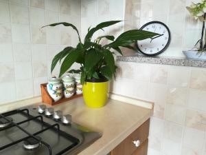 Kuchnia lub aneks kuchenny w obiekcie Apartment Toncic