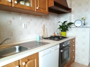 kuchnia ze zlewem i kuchenką górny piekarnik w obiekcie Apartment Toncic w mieście Benažići