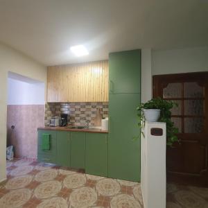 uma cozinha com armários verdes e um frigorífico verde em Central Home Away From Home em Shkodër