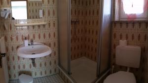 ein Bad mit einer Dusche, einem Waschbecken und einem WC in der Unterkunft Hotel-Pension Dressel in Warmensteinach