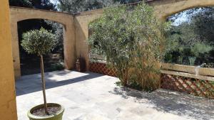 BASTIDE PRESQU ILE DE GIENS SUPERBE VUE MER PISCINE外面的花园